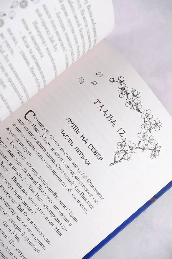 Книга Песнь предсказателя Небес (Дао Цинь) — 14