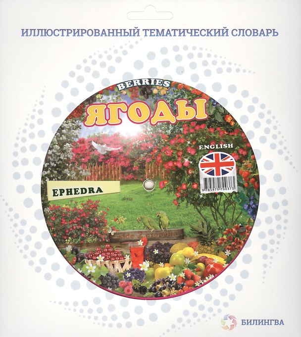 Книга Тематический словарь BERRIES (Ягоды). () — 1