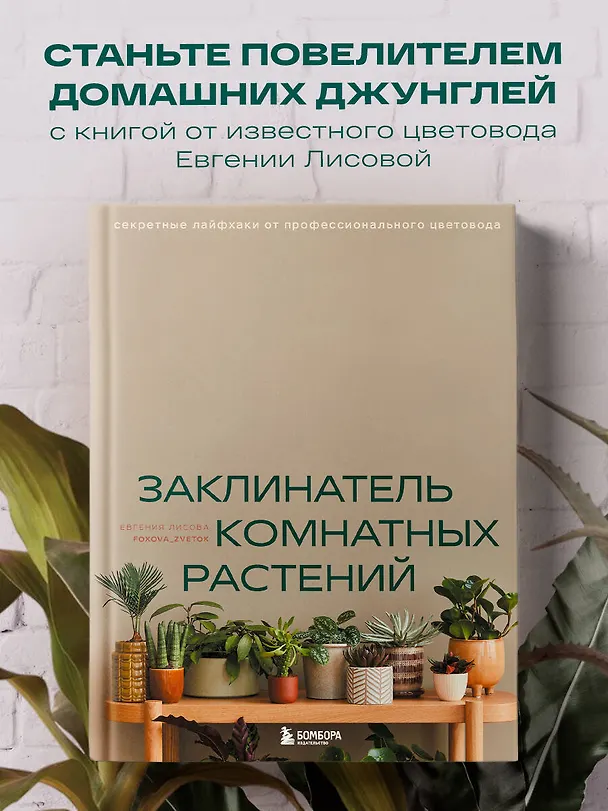 Книга Заклинатель комнатных растений. Секретные лайфхаки от профессионального цветовода (Евгения Лисова) — 7