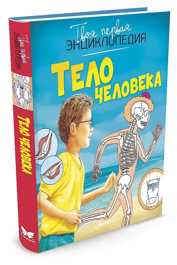 Книга Тело человека (Эмили Бомон, Филипп Симон) — 2