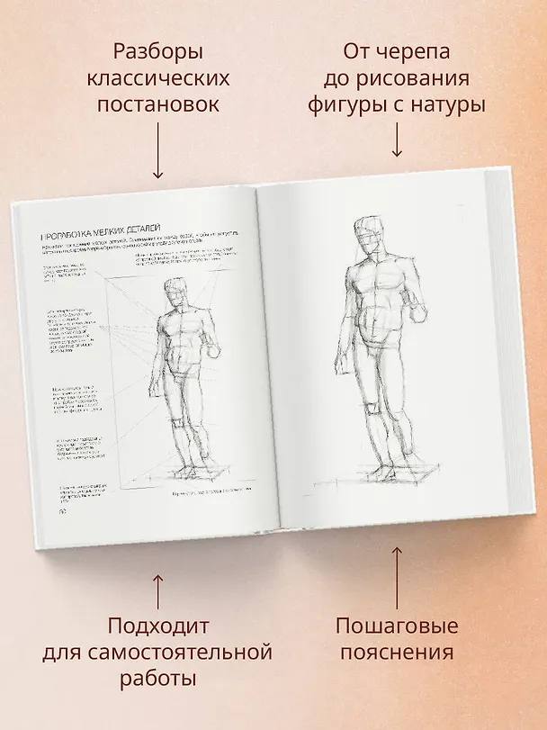 Книга База академического рисунка. Фигура человека, голова, портрет и капитель (Александр Рыжкин) — 8