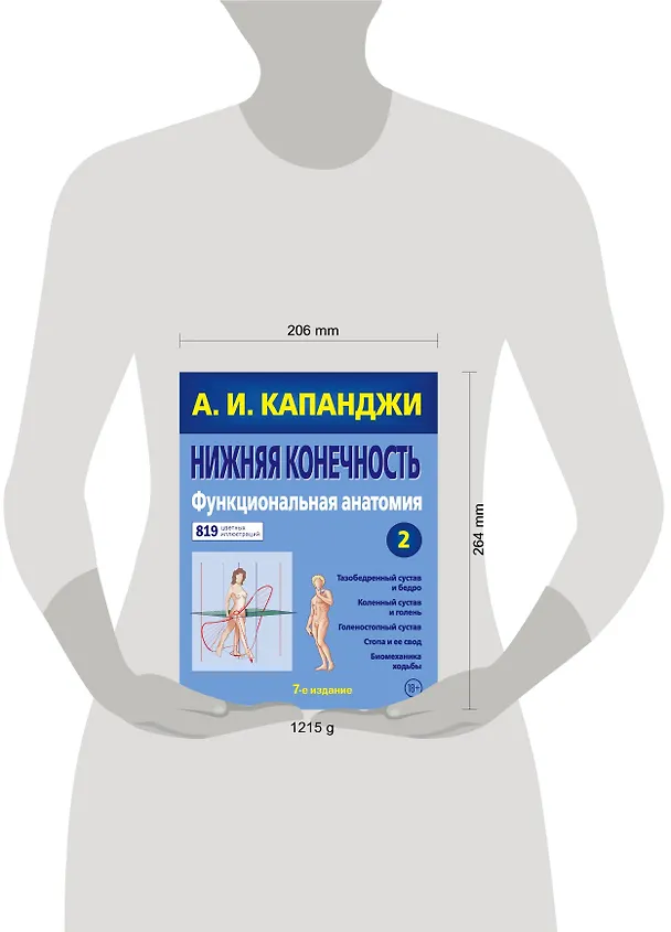 Книга Нижняя конечность: Функциональная анатомия. Том 2. 819 цветных иллюстраций (Адальберт Капанджи) — 5