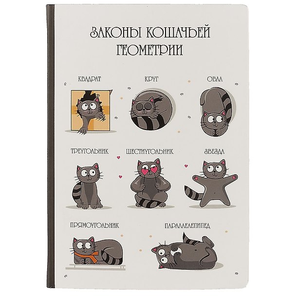 Блокнот «Законы кошачьей геометрии» 2698973 — 1