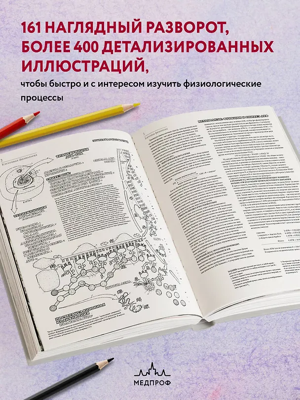Книга Физиология человека: атлас-раскраска (Уинн Кэпит, Роберт Мейси, Эсмаил Мейсами) — 8