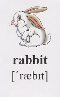 Книга Английский алфавит и буквосочетания. Развивающие карточки () — 3