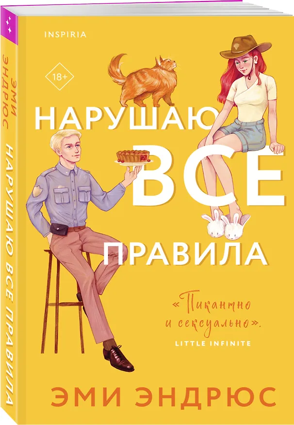 Книга Нарушаю все правила (Эми Эндрюс) — 4