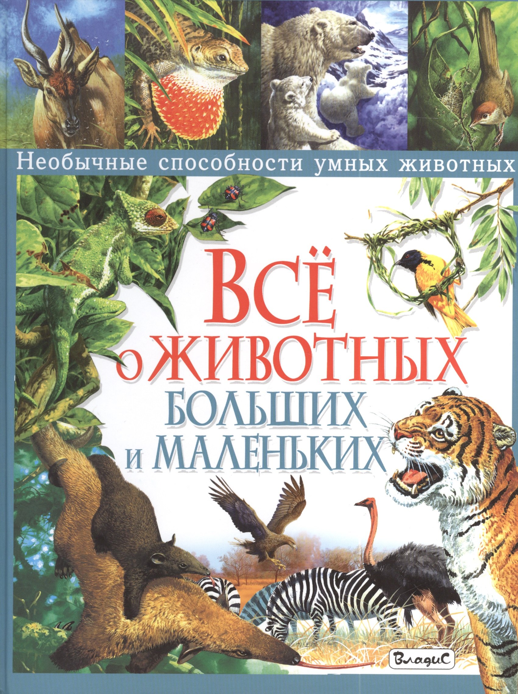 

Всё о животных больших и маленьких. Необычные способности умных животных