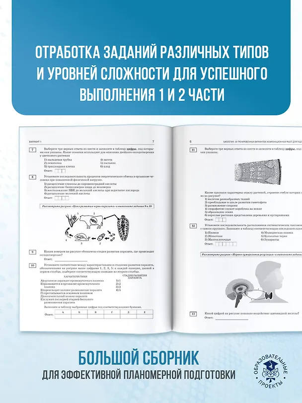 Книга ЕГЭ-2026. Биология. 30 тренировочных вариантов экзаменационных работ для подготовки к единому государственному экзамену (Лариса Прилежаева) — 8