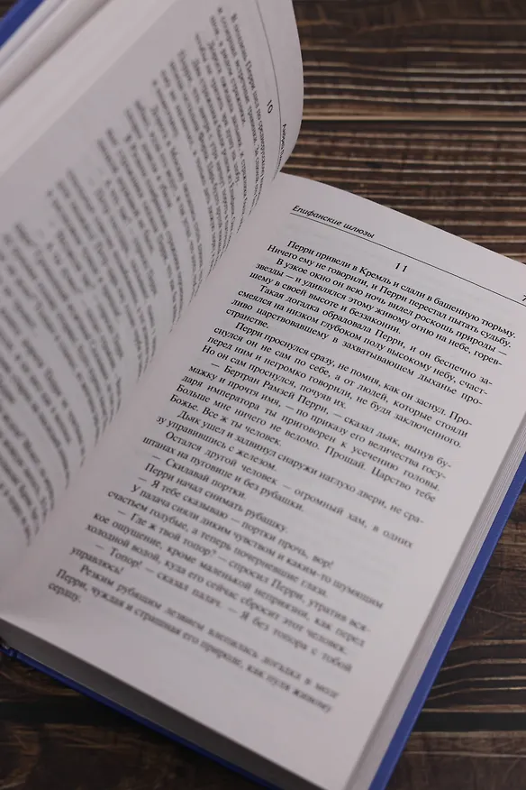 Книга Город Градов и другие повести (Андрей Платонов) — 11