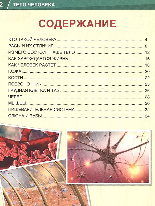 Книга Тело человека. 365 фактов (Кристина Хомякова) — 2