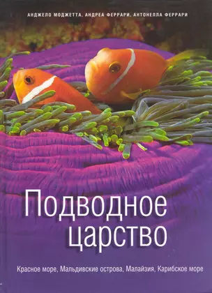 Подводное царство. Красное море, Мальдивские острова, Малайзия, Карибское море — 2284404 — 1