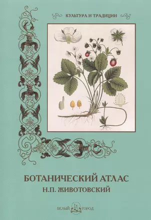 Ботанический атлас  Н.П. Животовский — 2421848 — 1