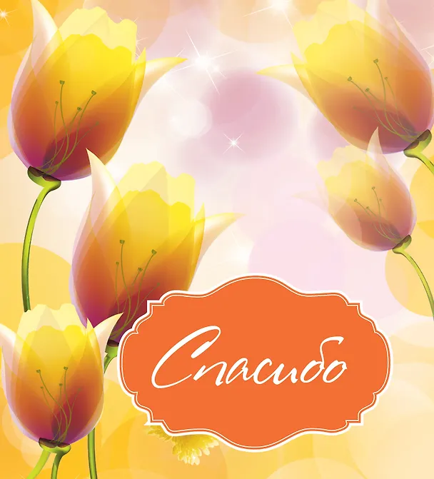Книга Спасибо (Ольга Епифанова) — 1