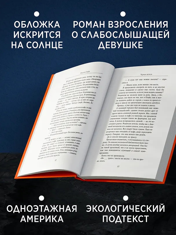 Книга Черная метель (Элисон Стайн) — 5