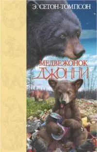 Медвежонок Джонни — 2174179 — 1