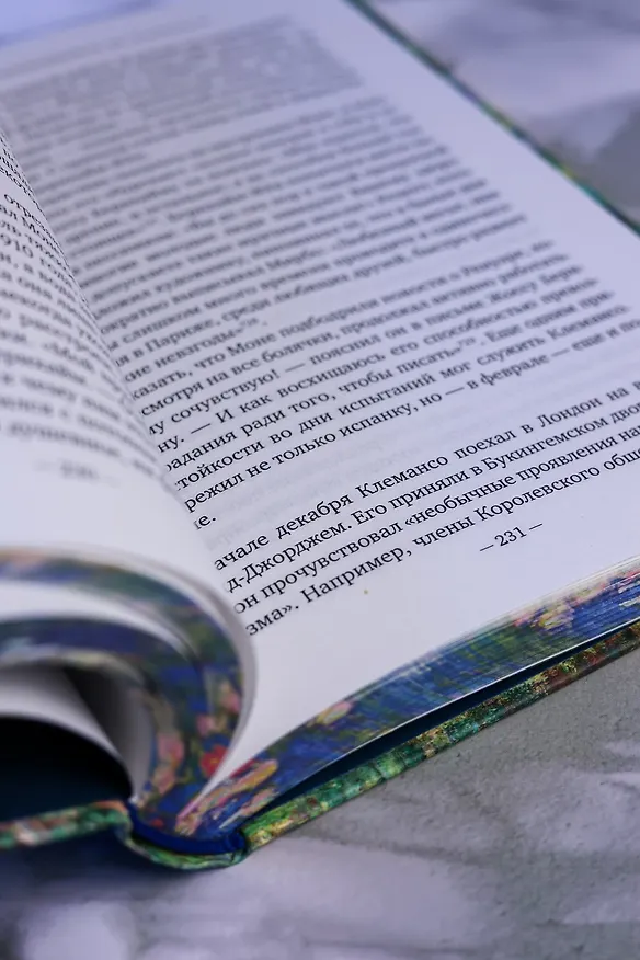 Книга Чарующее безумие. Клод Моне и водяные лилии (Росс Кинг) — 14
