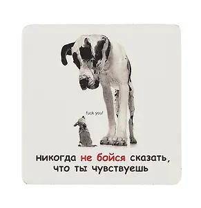 Сувенир МАГНИТИК Магнит 6,5*6,5см "Приколы": "Никогда не бойся сказать..."