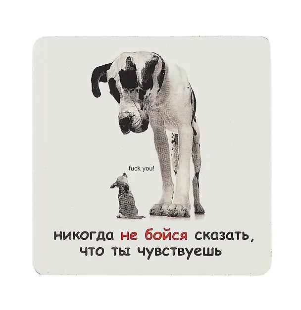Сувенир МАГНИТИК Магнит 6,5*6,5см "Приколы": "Никогда не бойся сказать..." 2361611 — 1