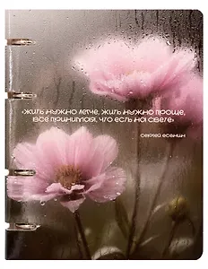 Тетрадь 80л кл. "После дождя.1" на кольцах, мел.картон, глянц.ламинация, квадр.корешок, скругл.углы