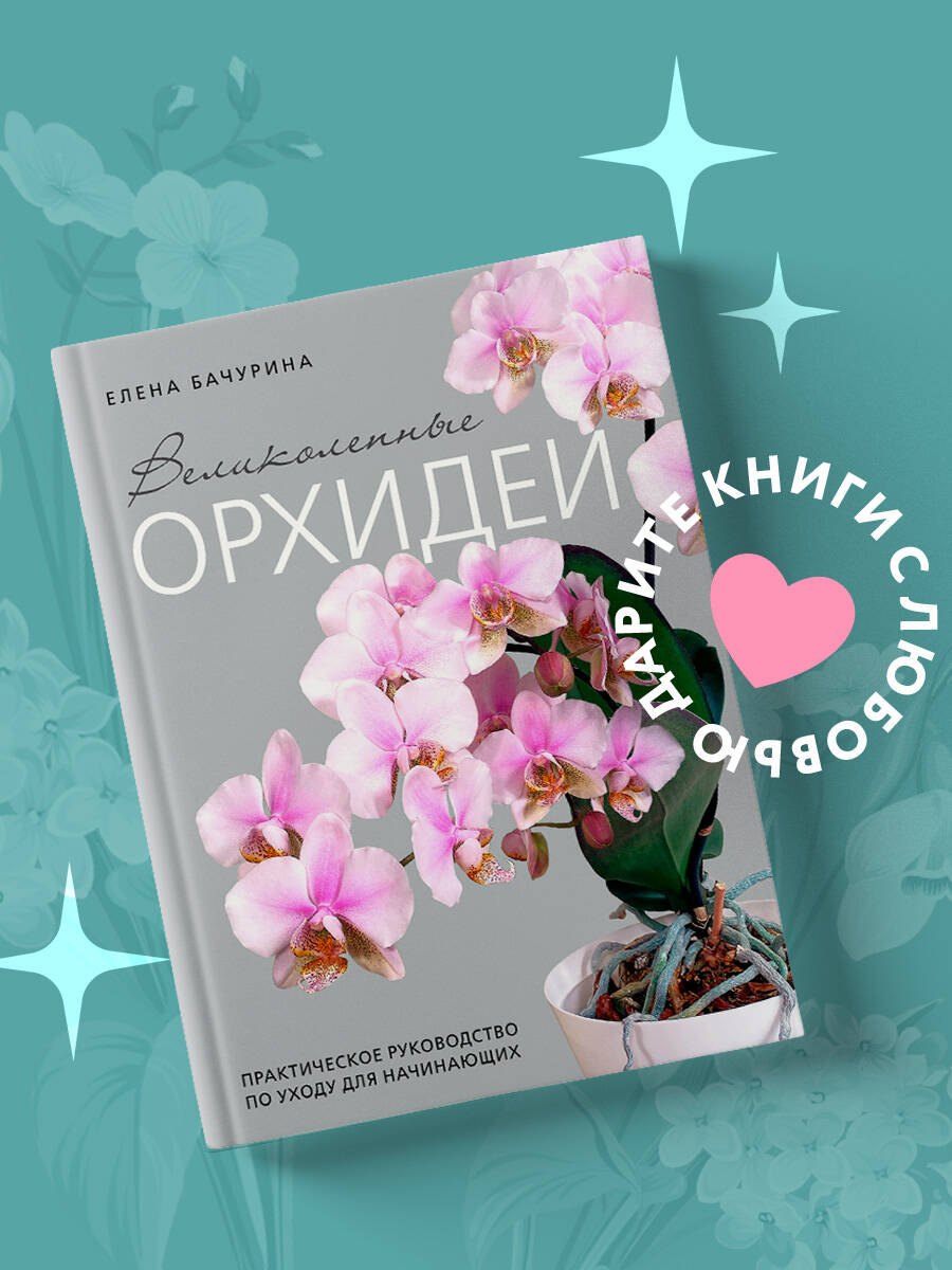 Великолепные орхидеи. Практичное руководство по уходу для начинающих Елена Владимировна Бачурина