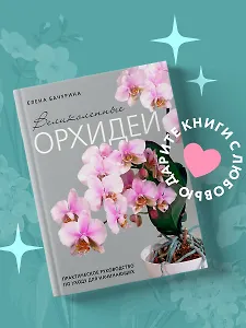 Великолепные орхидеи. Практичное руководство по уходу для начинающих