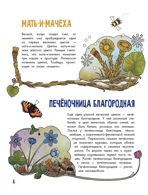 Книга Цветы и растения (Эмма Янссон) — 12