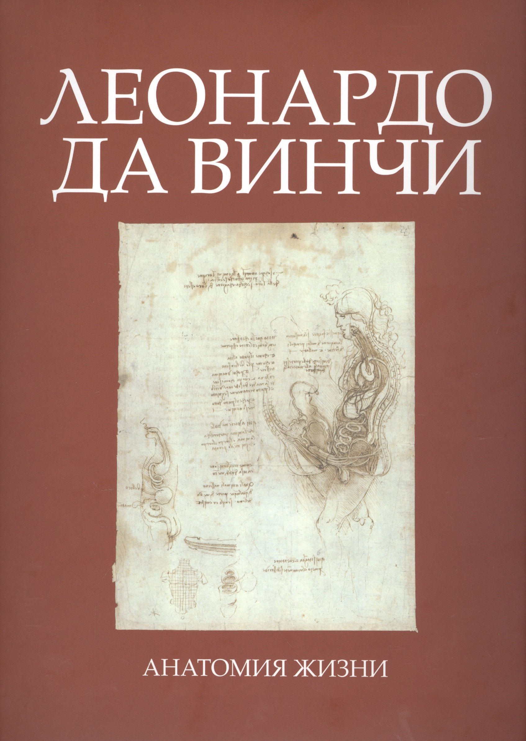 

Леонардо да Винчи. Анатомия жизни