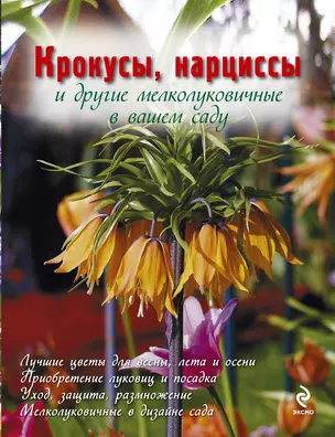 Крокусы, нарциссы и другие мелколуковичные цветы в вашем саду — 2231161 — 1