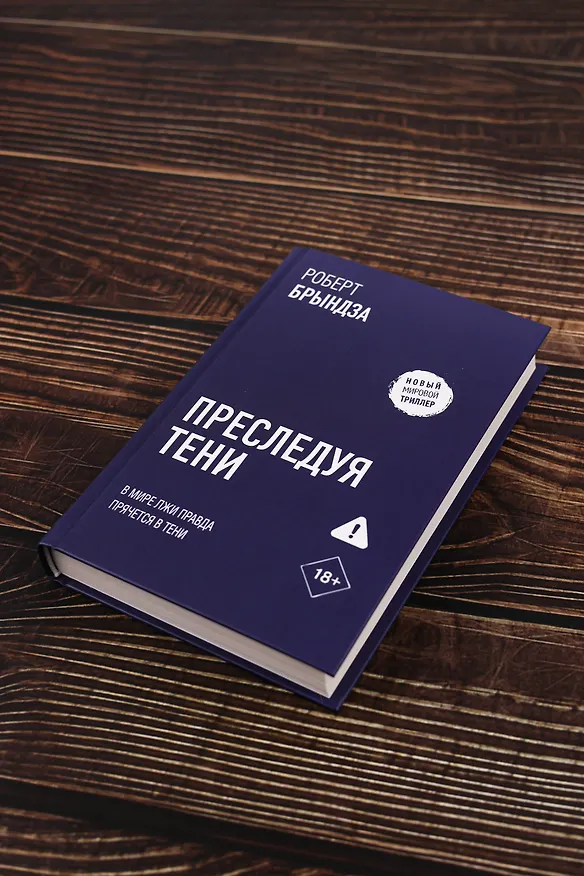 Книга Преследуя тени (Роберт Брындза) — 12