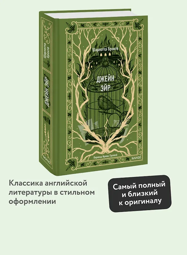 Книга Джейн Эйр. Вечные истории (Шарлотта Бронте) — 7
