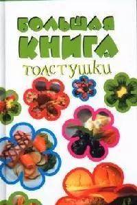 Большая книга толстушки — 2078574 — 1