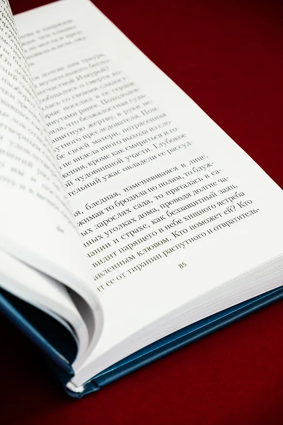 Книга Рабыня Изаура (Бернарду Гимарайнш) — 20