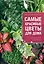 Самые красивые цветы для вашего дома ( на обложке "Самые красивые цветы для дома. Справочник цветовода) — 2359328 — 1