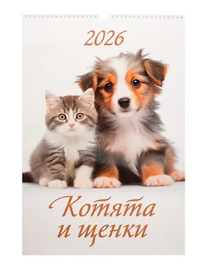 Календарь 2026г 320*480 "Котята и щенки" настенный, на спирали 3108948