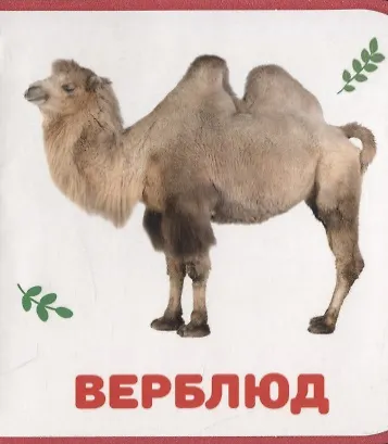 Книга Дикие животные () — 6