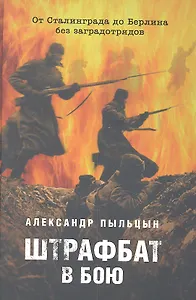 Штрафбат в бою. От Сталинграда до Берлина без заградотрядов