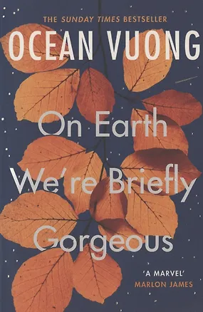 Книга On Earth Were Briefly Gorgeous ()