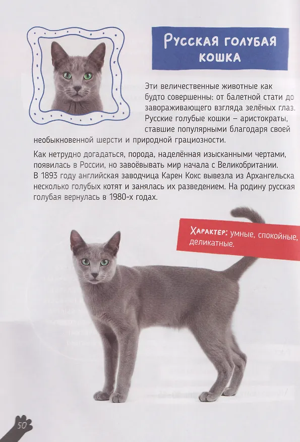 Книга Кошки. Большие секреты маленьких хищников. Энциклопедия для детей (Александра Хворост) — 5