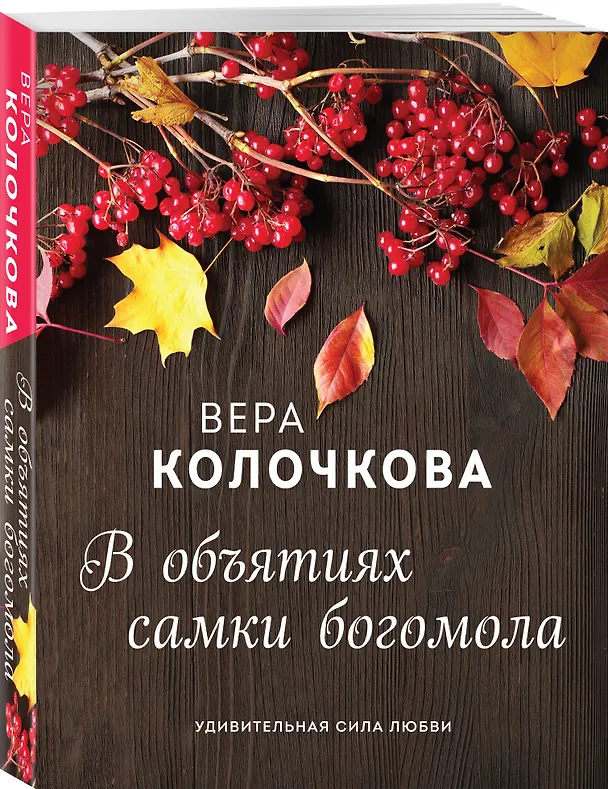 Книга В объятиях самки богомола (Вера Колочкова) — 4
