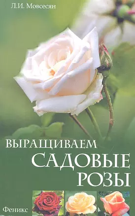 Выращиваем садовые розы — 2318335 — 1