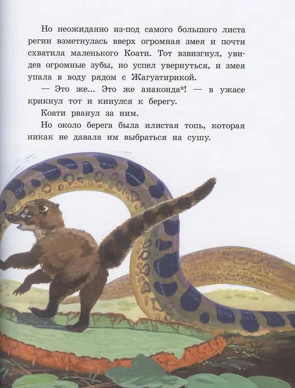 Книга Приключения Тирика и Коати. Сказки с берегов Амазонки (Евгений Яровой) — 4