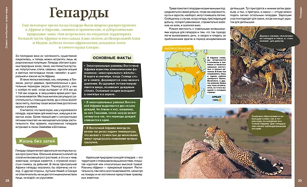 Книга Самые необычные звери мира (Тони Хеа) — 9