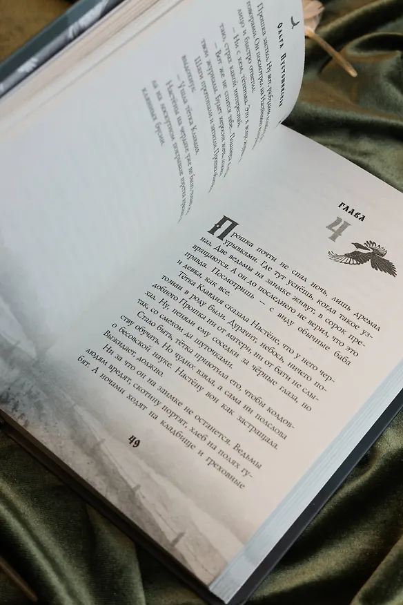 Книга Сорочье гнездо (Ольга Пустошинская) — 12