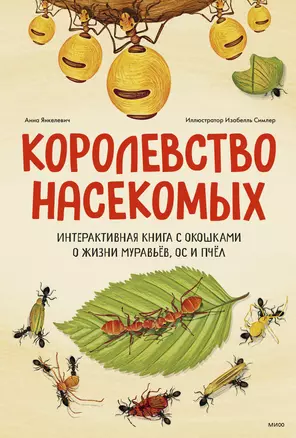 Королевство насекомых. Интерактивная книга с окошками о жизни муравьёв, ос и пчёл — 2951651 — 1