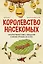 Королевство насекомых. Интерактивная книга с окошками о жизни муравьёв, ос и пчёл — 2951651 — 1