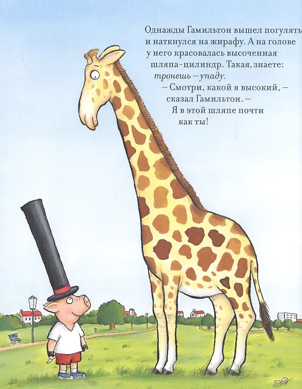 Книга Дело в шляпе: Сказка () — 5