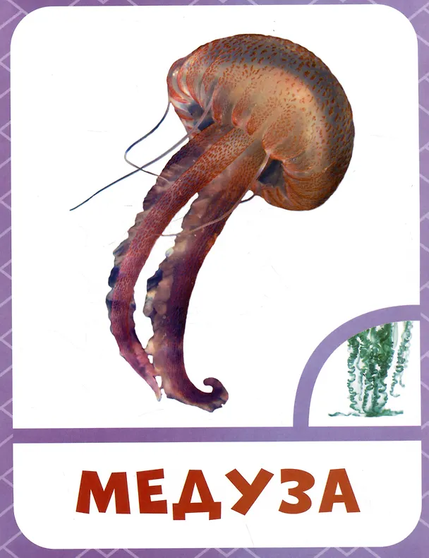 Книга Морские животные () — 3