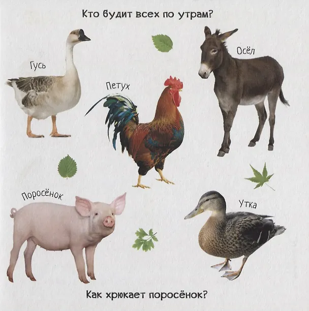 Книга Знакомство с животным миром () — 3