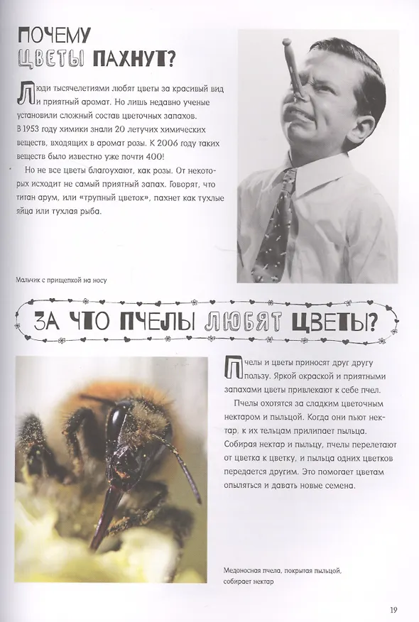 Книга Почему звезды мерцают? (Джеймс Дойл) — 4