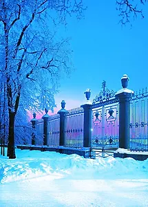 Открытка с видами (СПб) Зима.Решетка Летнего сада [SPB-042]